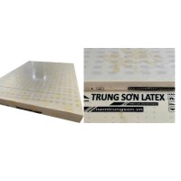 NỆM TRUNG SƠN LATEX