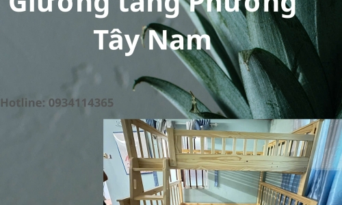 Giường tầng Phường Tây Nam
