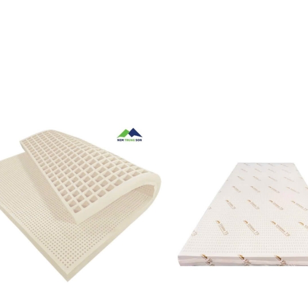 NỆM CSTT TRUNG SƠN_VINLATEX